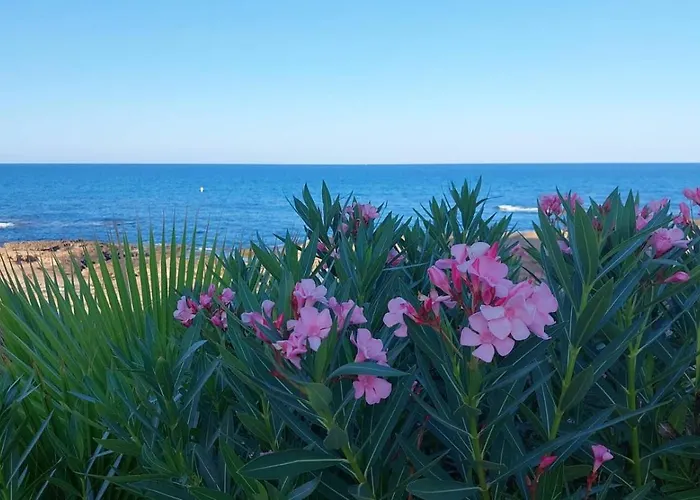 Agamari La Mata Sun * Torrevieja