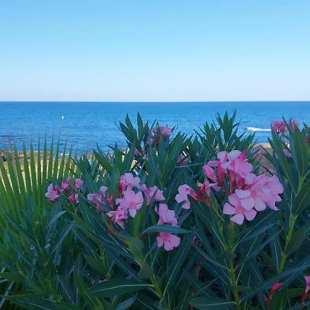 Agamari La Mata Sun * トレビエハ